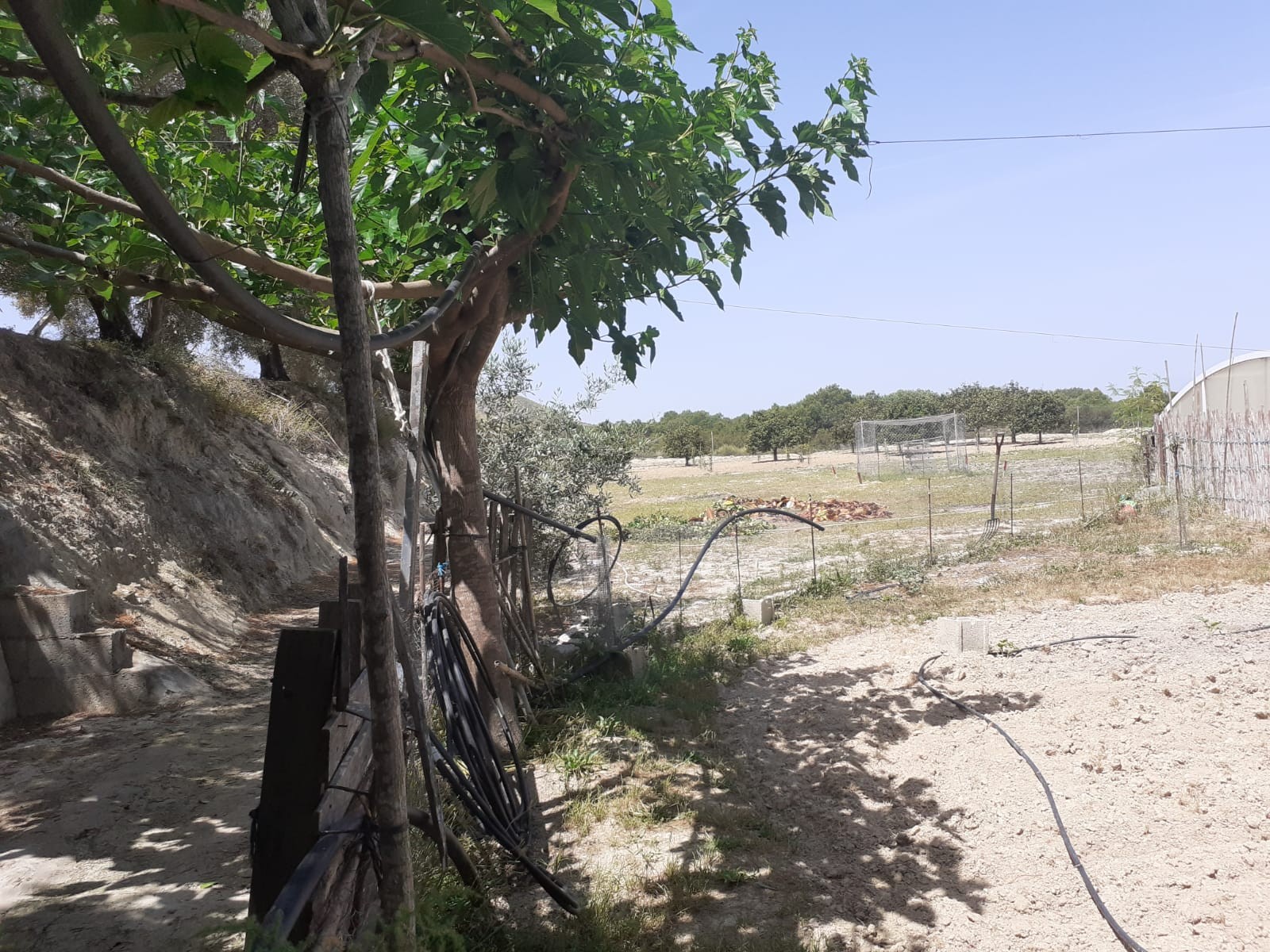 Willa w Rojales, Alicante, Hiszpania 3 sypialnie, 77 mkw. nr 80148