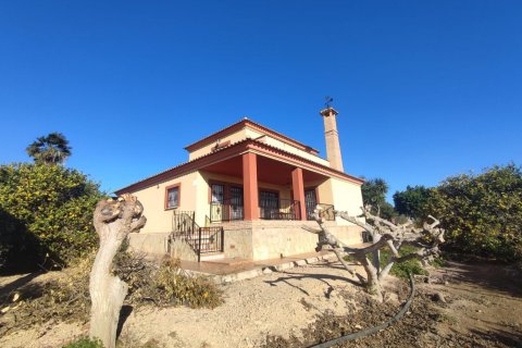 House in Algorfa, Alicante, Spain 3 bedrooms, 299 sq.m. No. 80151