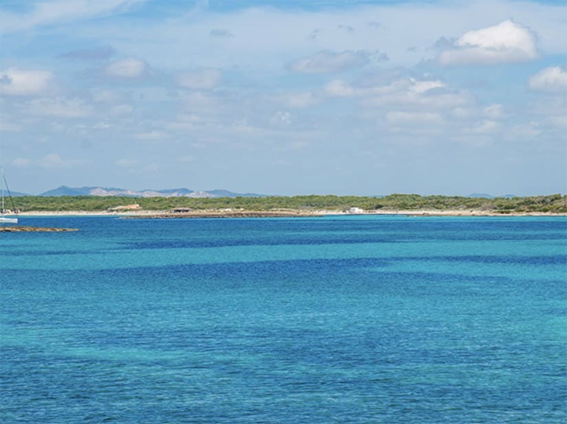 Apartment in Sa Rapita, Mallorca, Spain 2 bedrooms, 95 sq.m. No. 143971