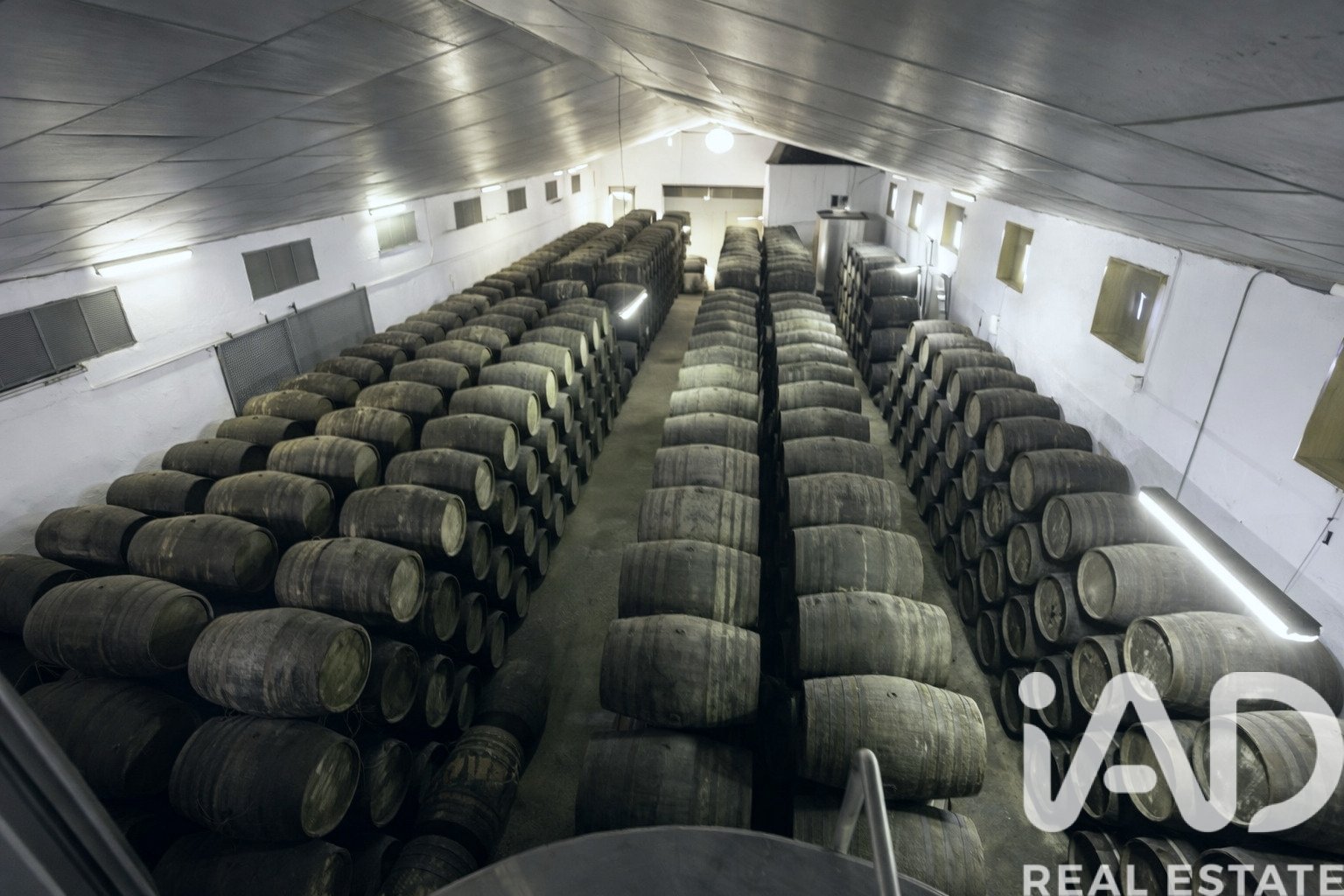 Lokal usługowy w Jerez de la Frontera, Cadiz, Hiszpania nr 172884