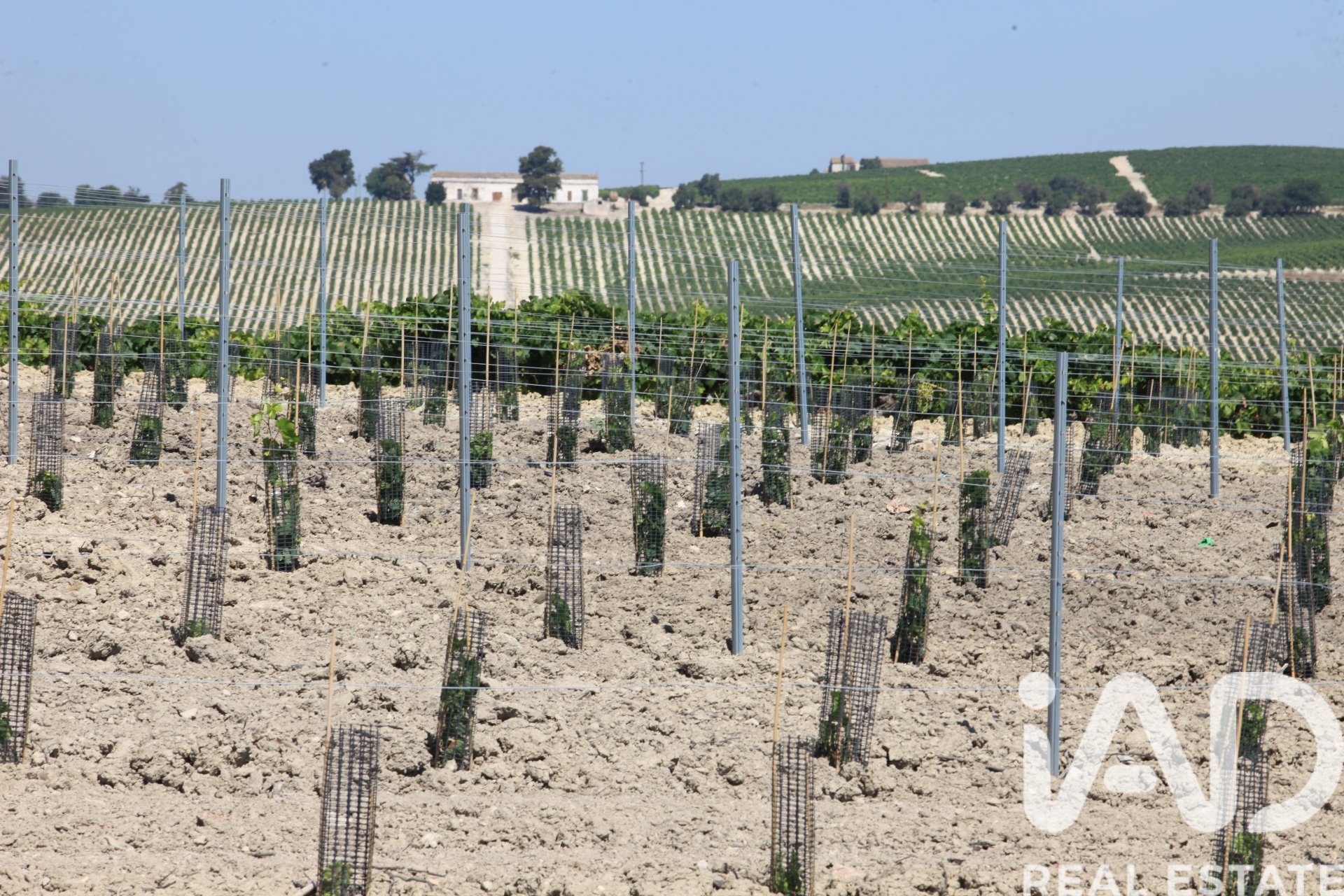 Lokal usługowy w Jerez de la Frontera, Cadiz, Hiszpania nr 172884