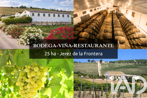 Propiedad comercial en Jerez de la Frontera, Cádiz, España No. 172884