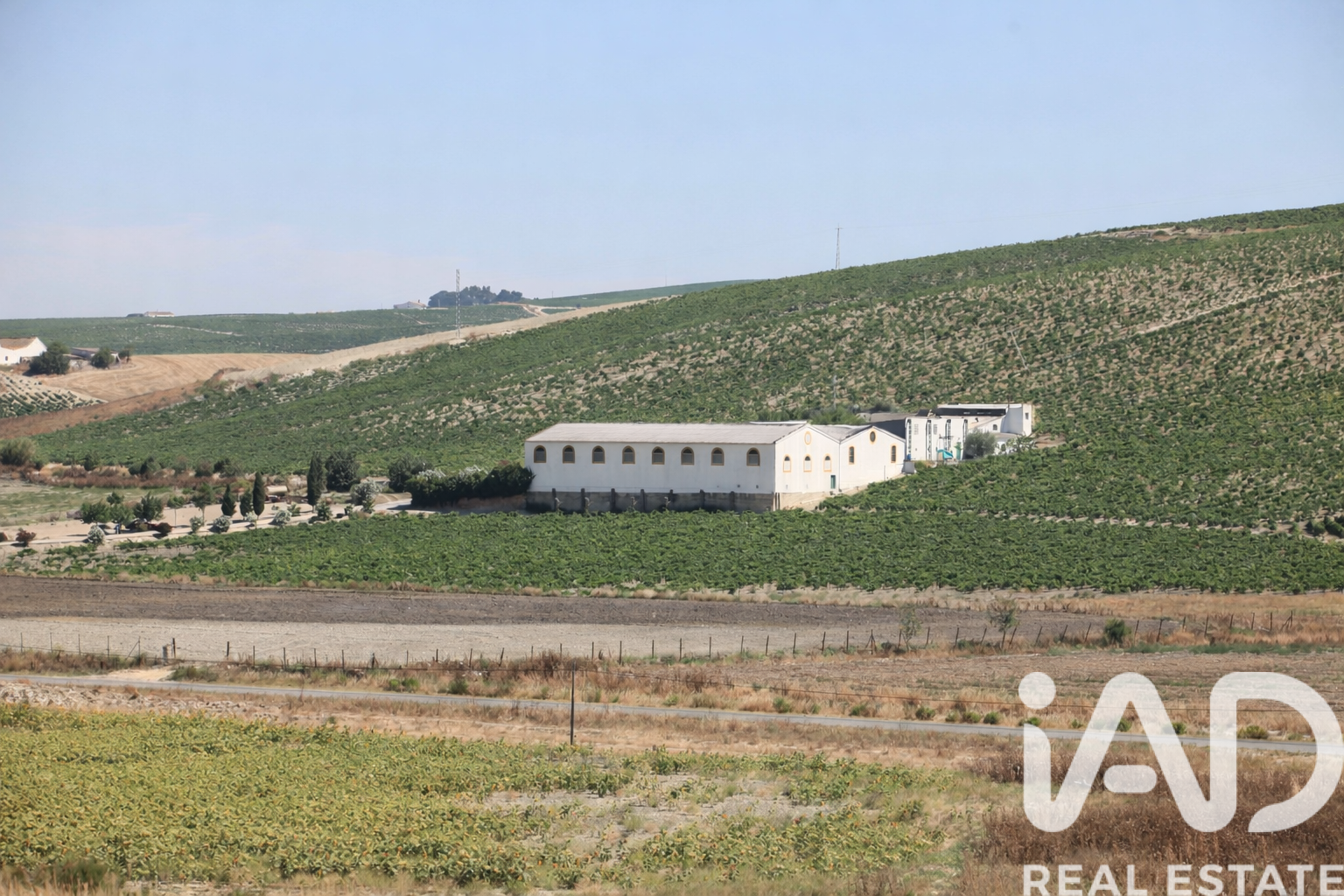 Lokal usługowy w Jerez de la Frontera, Cadiz, Hiszpania nr 172884
