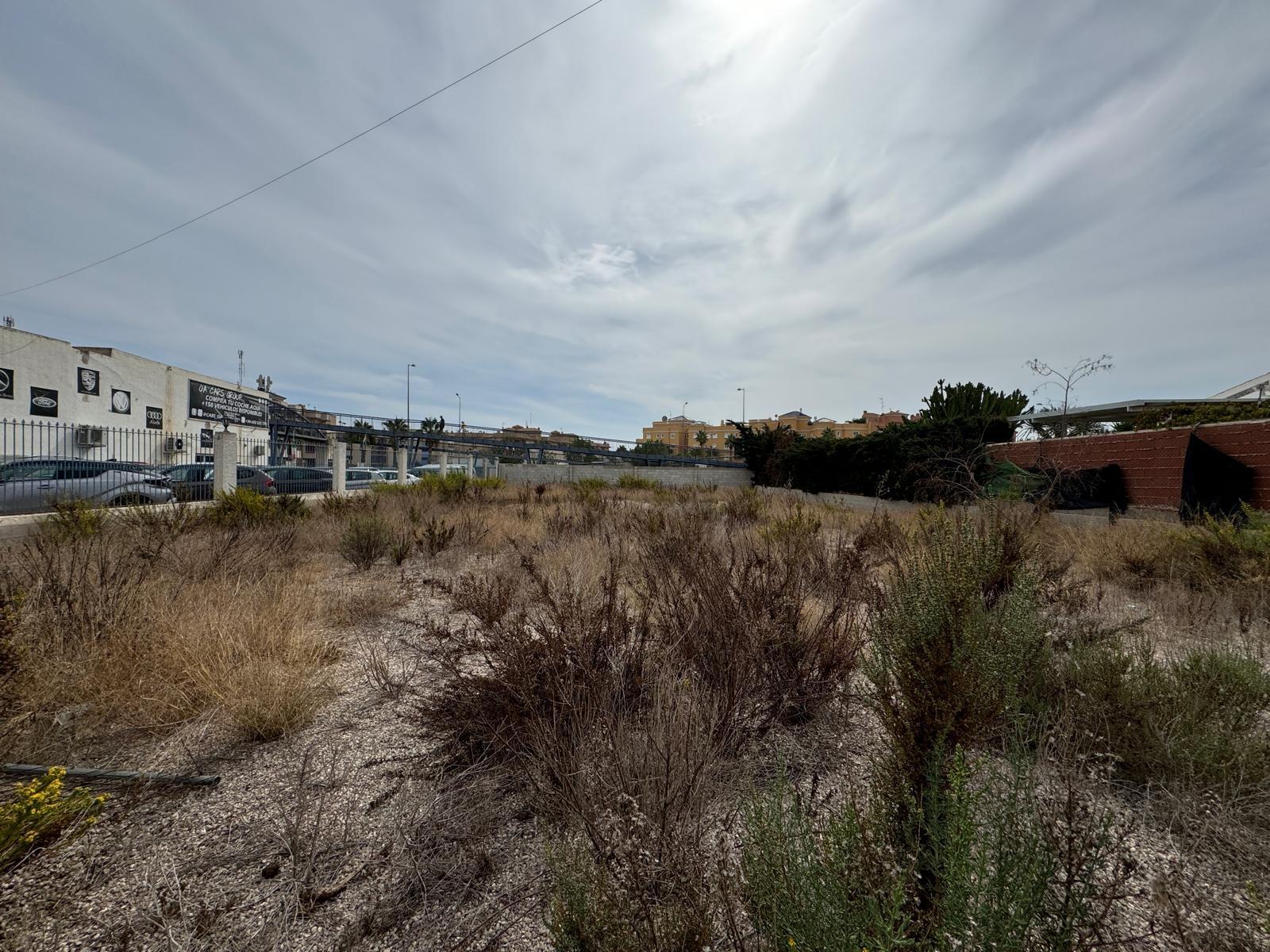 Tontti Campoamor, Alicante, Espanja 135 m2 No. 109155