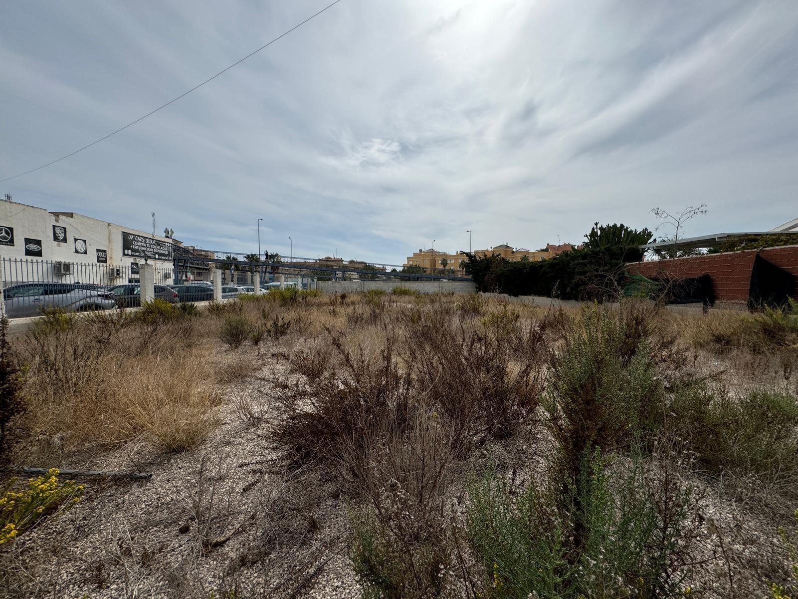 Tontti Campoamor, Alicante, Espanja 135 m2 No. 109155