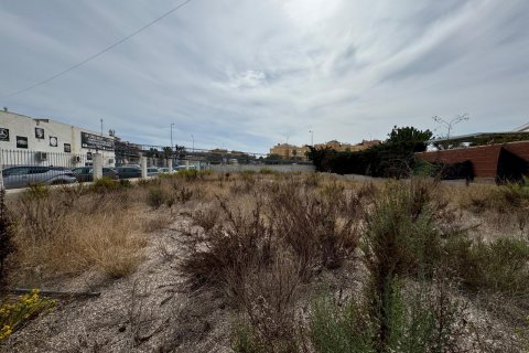 Land plot à Campoamor, Alicante, Espagne 135 m2 No. 109155