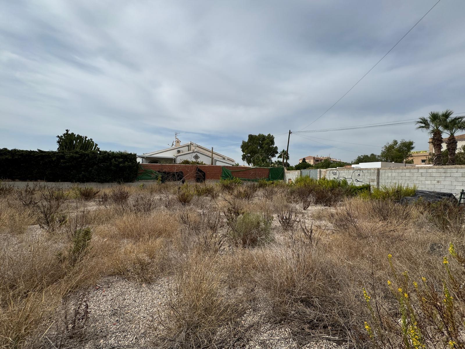 Tontti Campoamor, Alicante, Espanja 135 m2 No. 109155