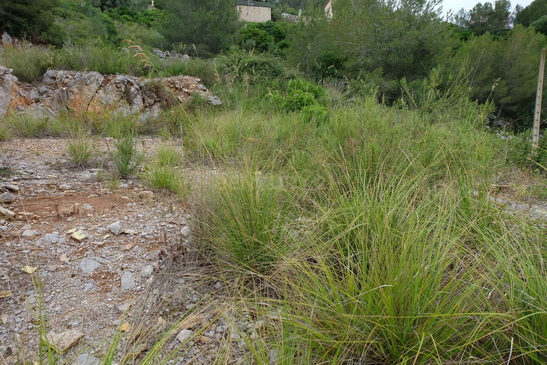 Land plot in Olivella, Barcelona, Spain No. 186727