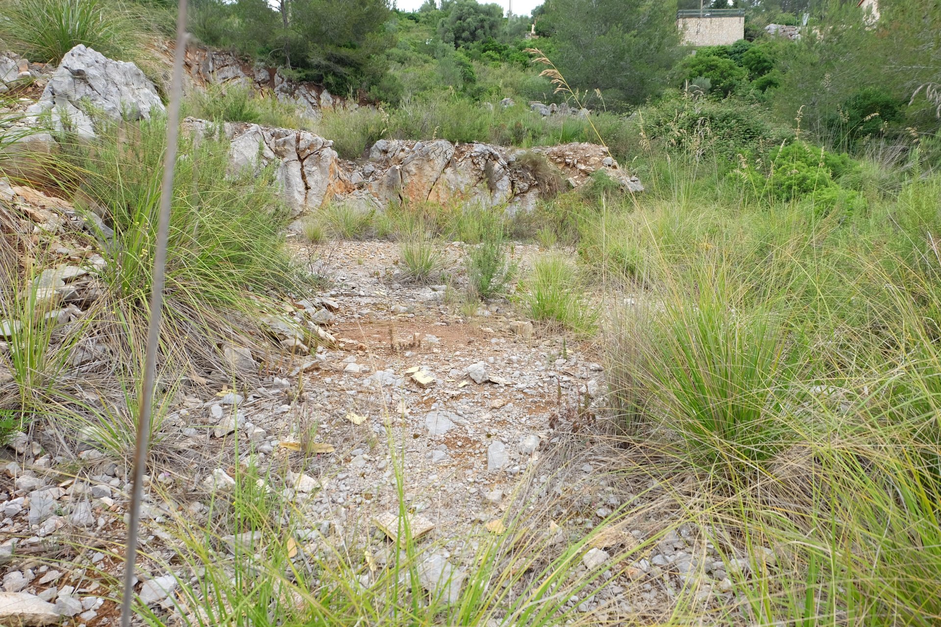 Land plot in Olivella, Barcelona, Spain No. 186727