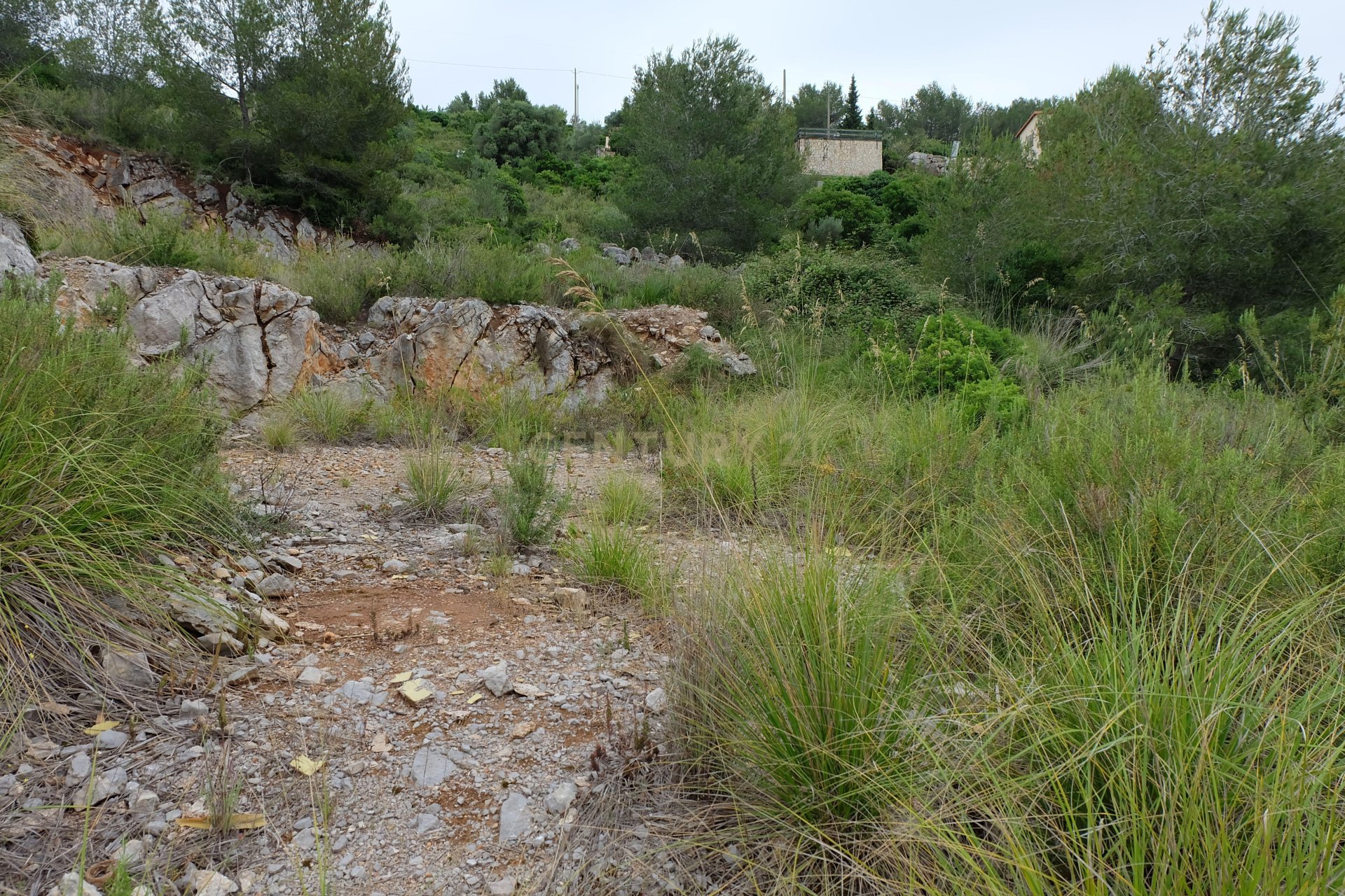 Land plot in Olivella, Barcelona, Spain No. 186727