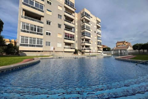 Huoneisto Torrevieja, Alicante, Espanja 2 makuuhuonetta, 68 m2 No. 155613