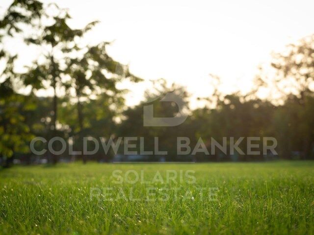 Land plot in Javea, Alicante, Spain 5000 sq.m. No. 159067