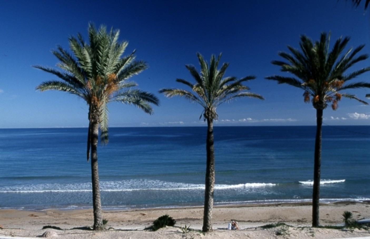 Bungalow in Pilar de la Horadada, Alicante, Spain 3 bedrooms, 67 sq.m. No. 135415