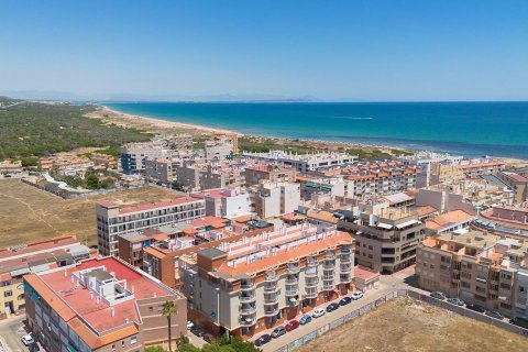 Apartment in La Mata, Alicante, Spain 1 bedroom, 33 sq.m. No. 186854