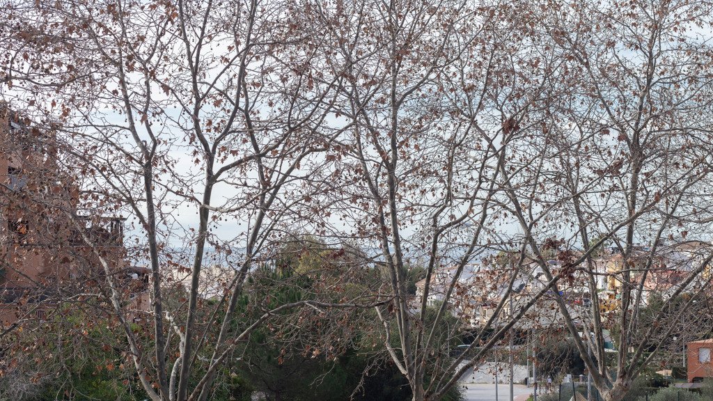 Apartment in Marbella, Malaga, Spain 3 bedrooms, 140 sq.m. No. 107045