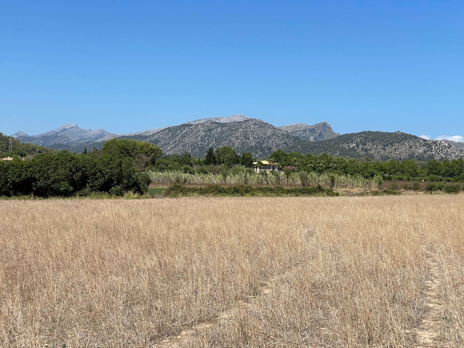 Działka w Alcudia, Mallorca, Hiszpania 21316 mkw. nr 93981