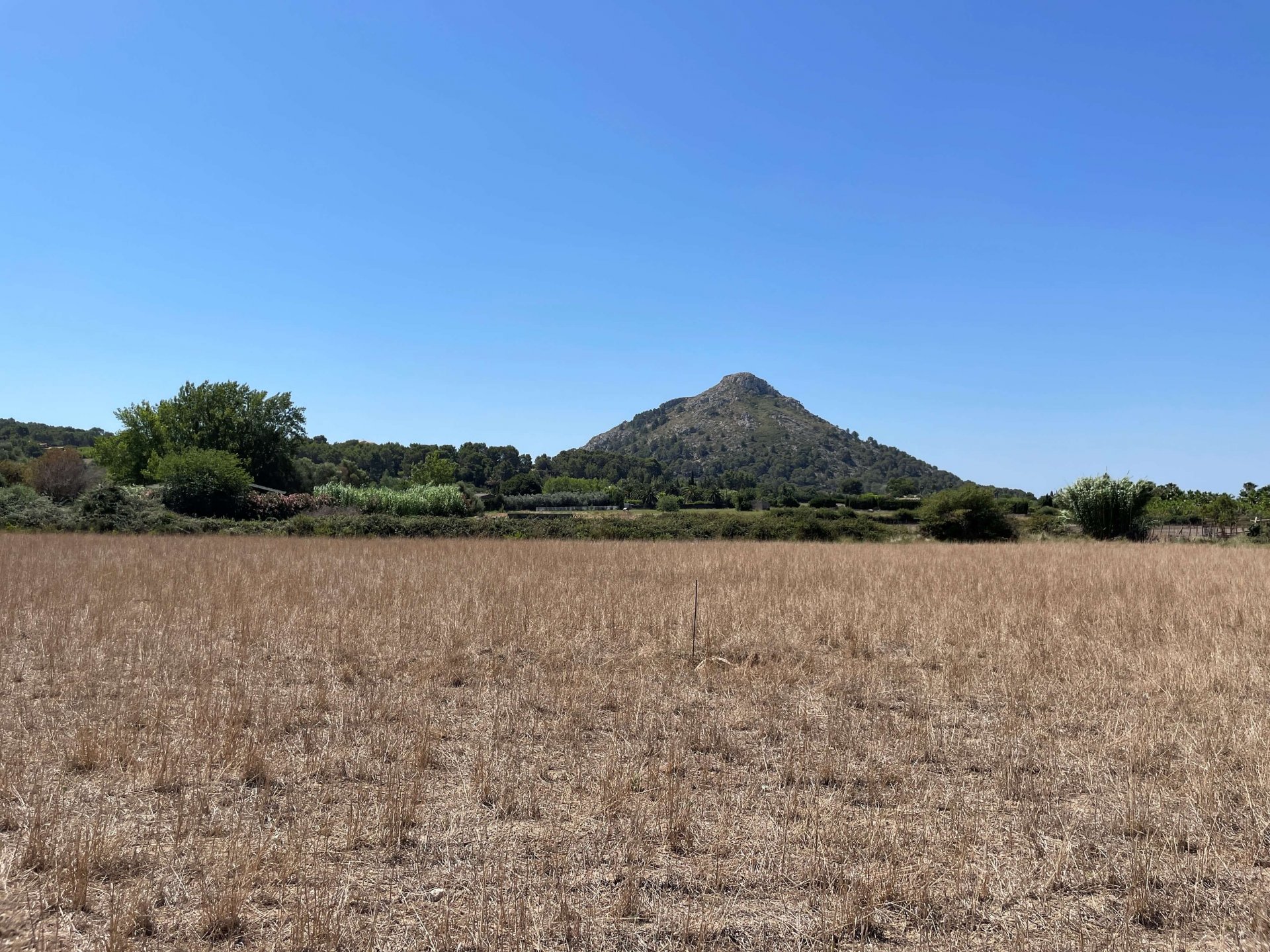 Działka w Alcudia, Mallorca, Hiszpania 21316 mkw. nr 93981