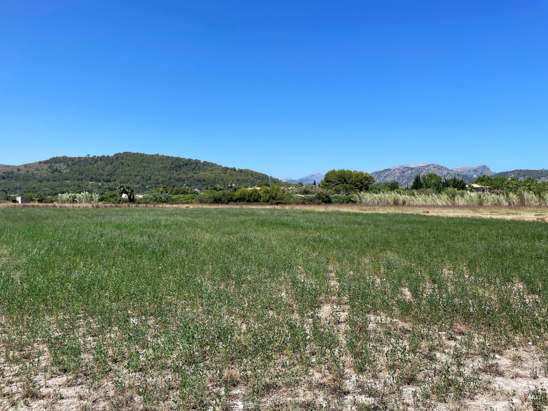Działka w Alcudia, Mallorca, Hiszpania 21316 mkw. nr 93981