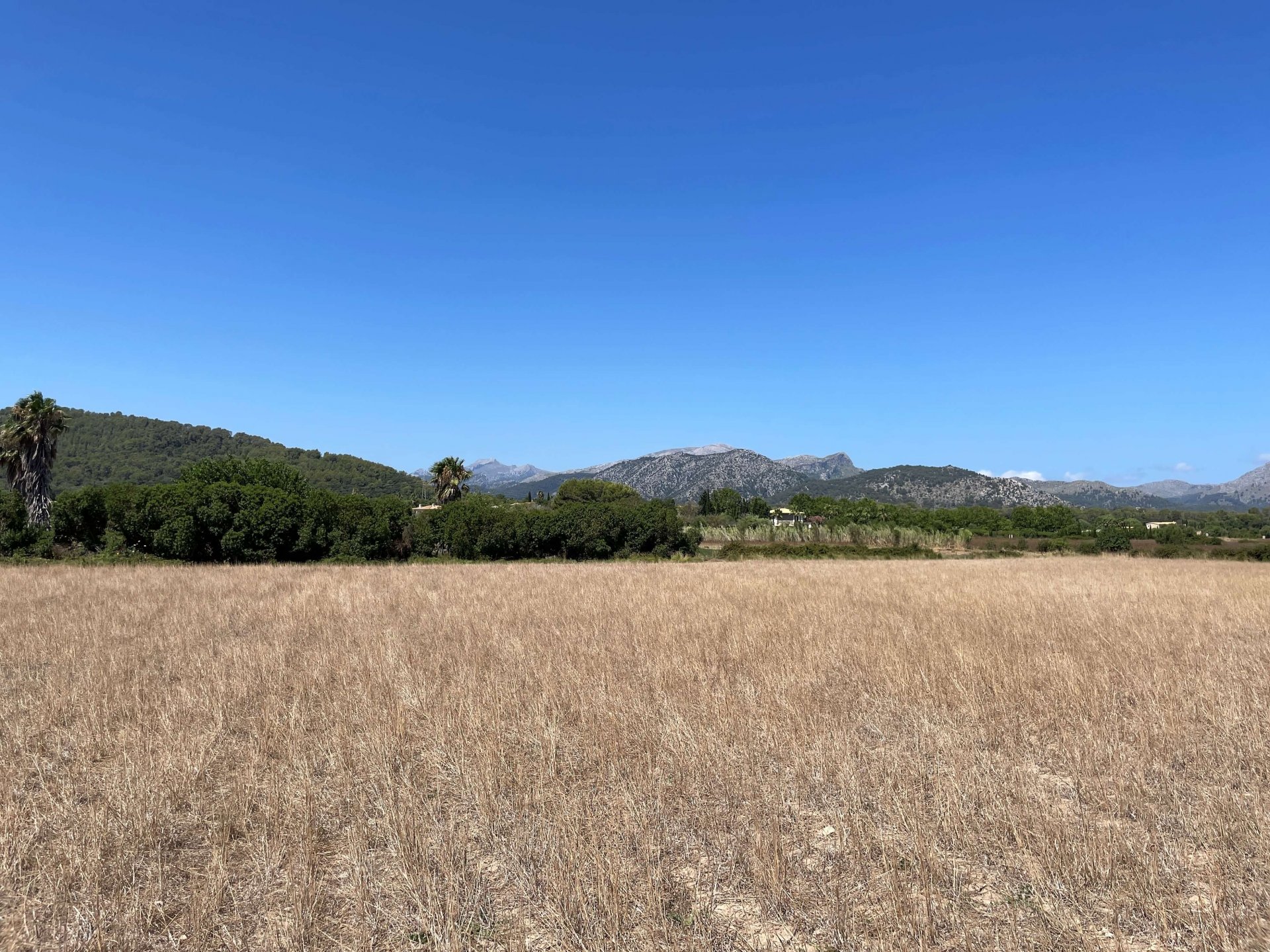 Działka w Alcudia, Mallorca, Hiszpania 21316 mkw. nr 93981