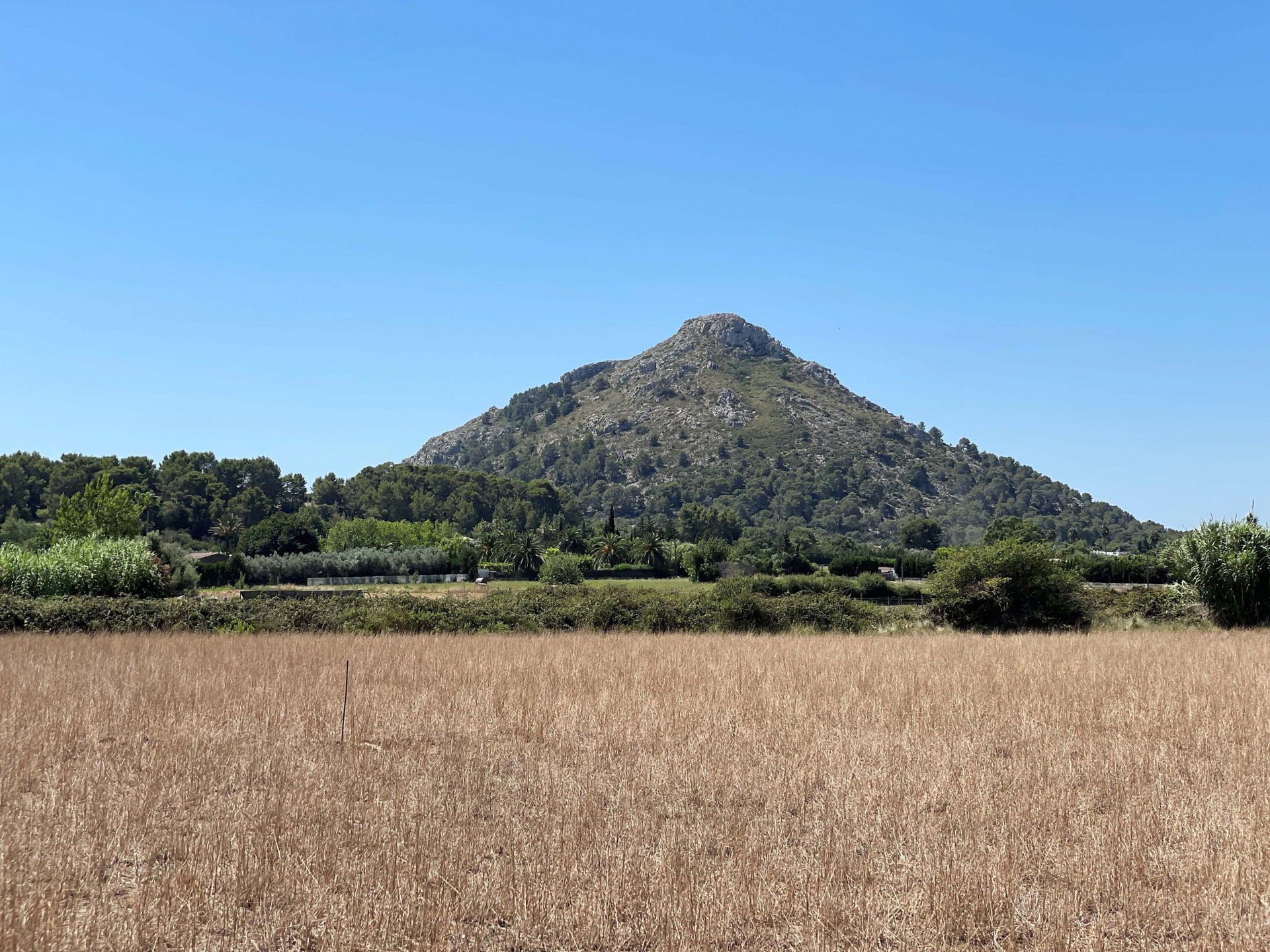 Działka w Alcudia, Mallorca, Hiszpania 21316 mkw. nr 93981
