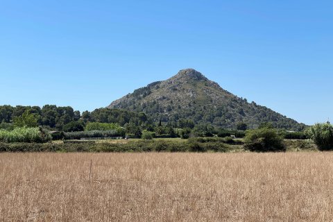 Tontti Alcudia, Mallorca, Espanja 21316 m2 No. 93981