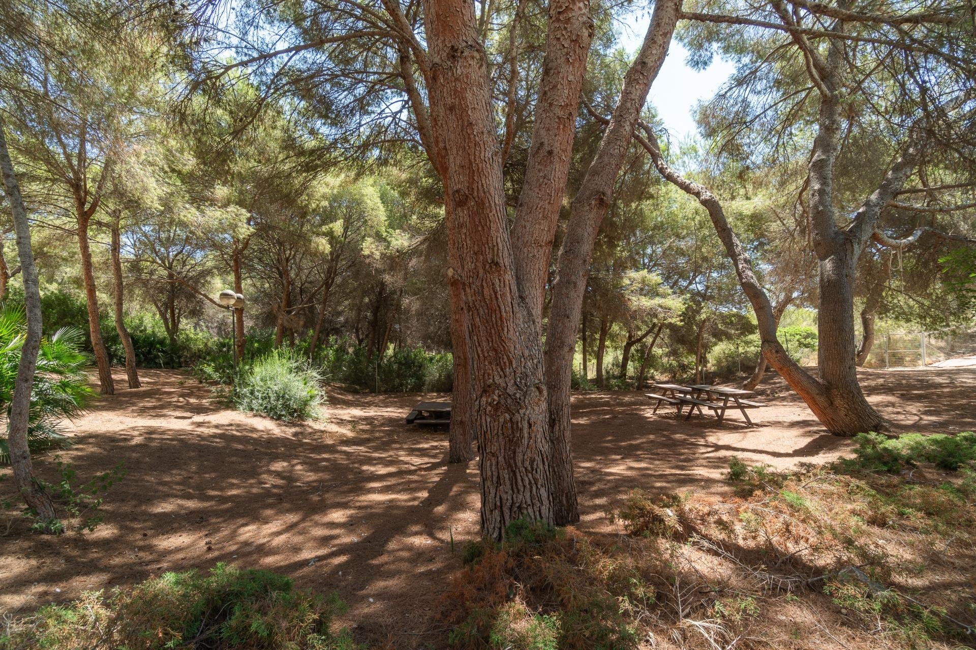 Apartamento en Dehesa De Campoamor, Alicante, España 2 dormitorios, 69 m2 No. 192019
