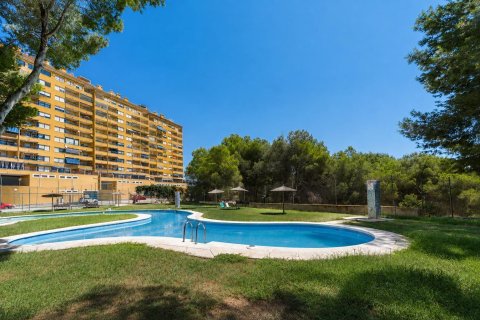 Lägenhet i Dehesa De Campoamor, Alicante, Spanien 2 sovrum, 69 kvm. Nr. 192019