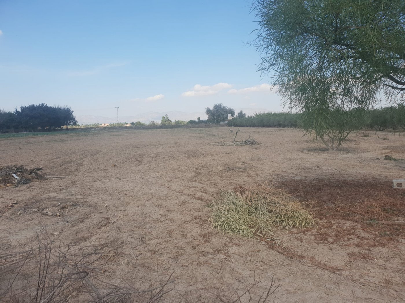 Land plot in Guardamar del Segura, Alicante, Spain No. 74716
