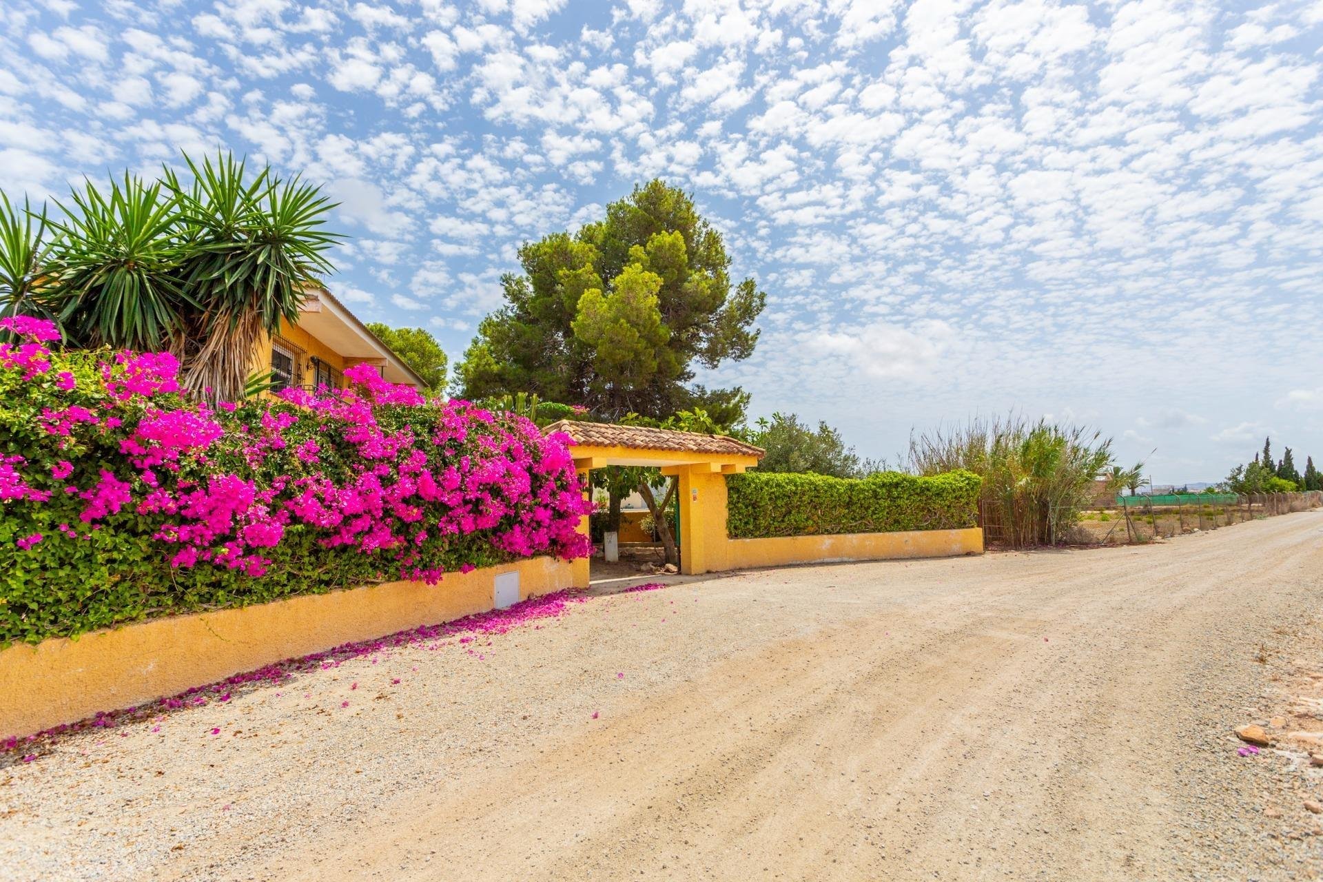 Villa in Los Montesinos, Alicante, Spain 5 bedrooms, 260 sq.m. No. 74717