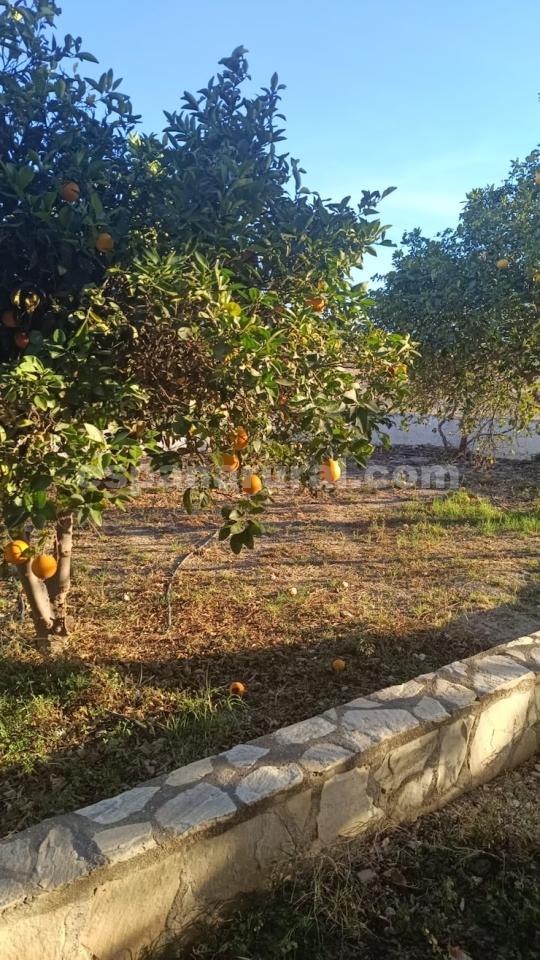 Villa en Cuevas del Almanzora, Almería, España 3 dormitorios, 369 m2 No. 168969