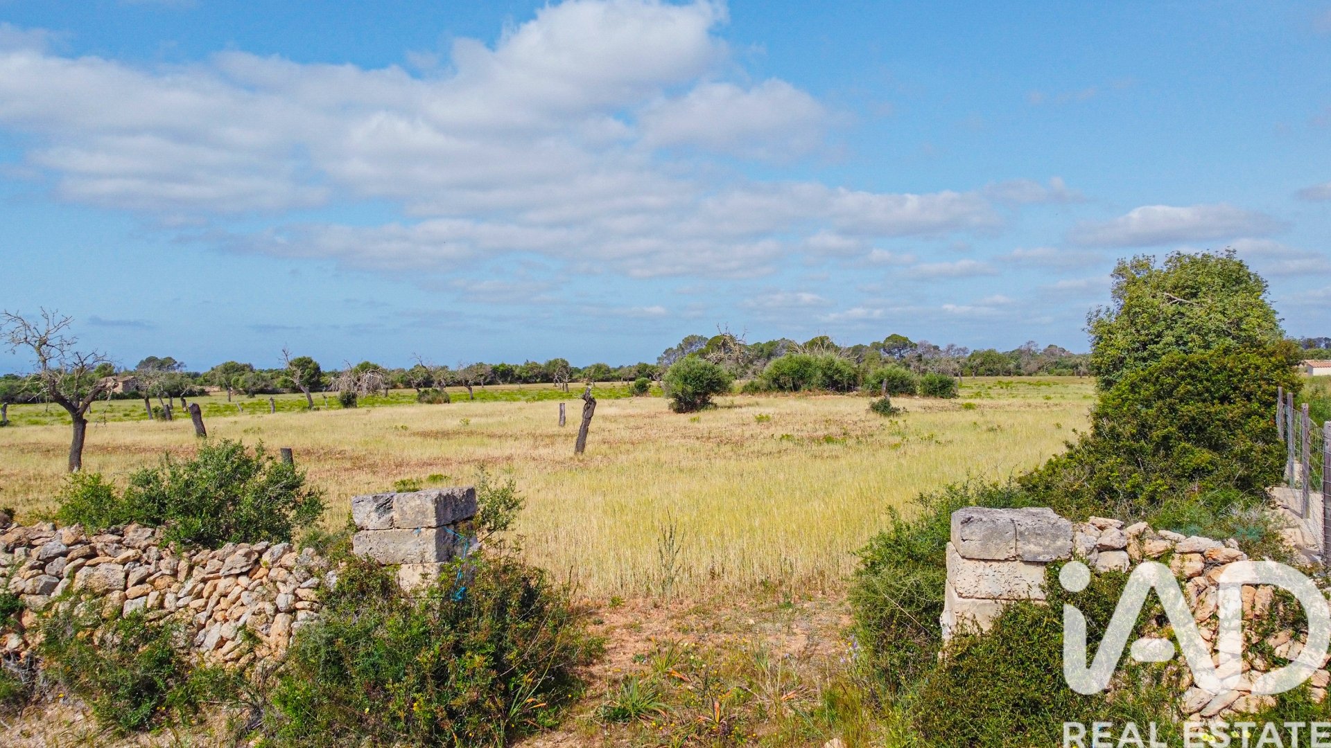 Zemes gabals Llucmajor, Mallorca, Spānijā 36895 m2 Nr. 172622