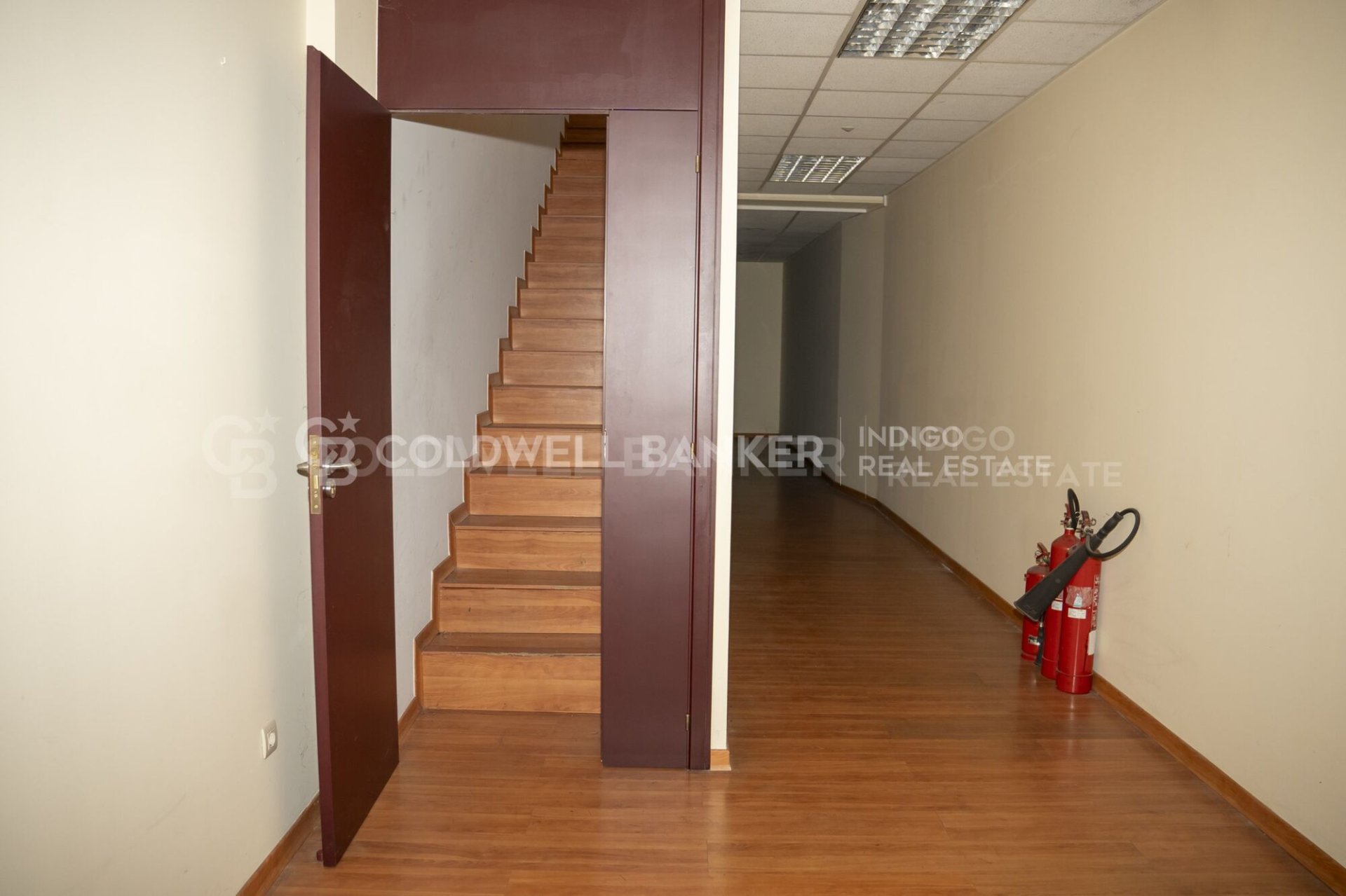 Gewerbeimmobilien in Vigo, Pontevedra, Spanien 549 m2 Nr. 156809