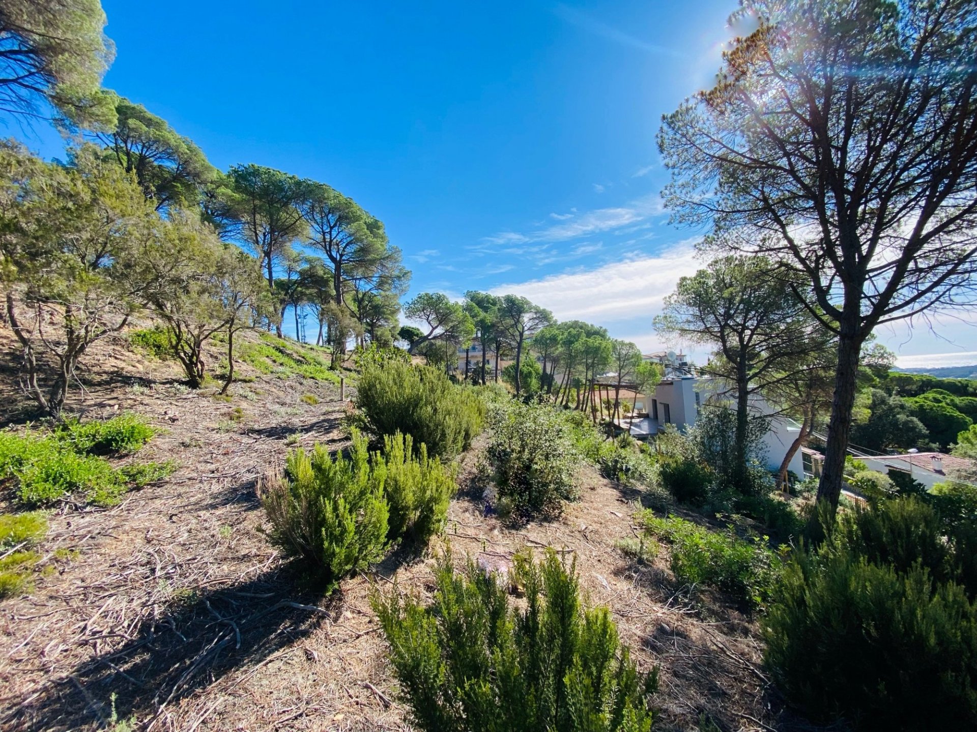 Hus i Lloret de Mar, Girona, Spanien 4 sovrum, 340 kvm. Nr. 73713