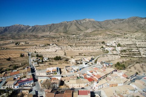 Kattohuoneisto Alicante, Espanja 3 makuuhuonetta, 100 m2 No. 74743