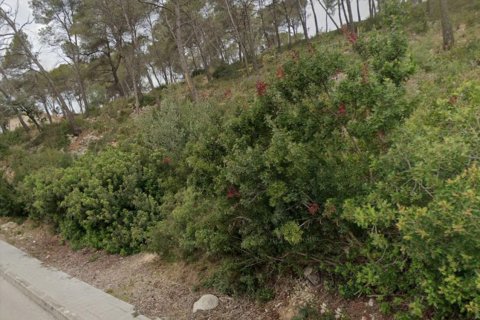 Land plot in Olivella, Barcelona, Spain No. 191232