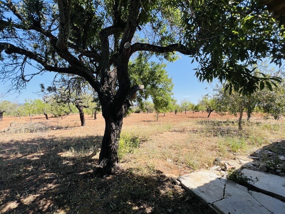 House in Algaida, Mallorca, Spanien 2 Schlafzimmer, 80 m2 Nr. 119644