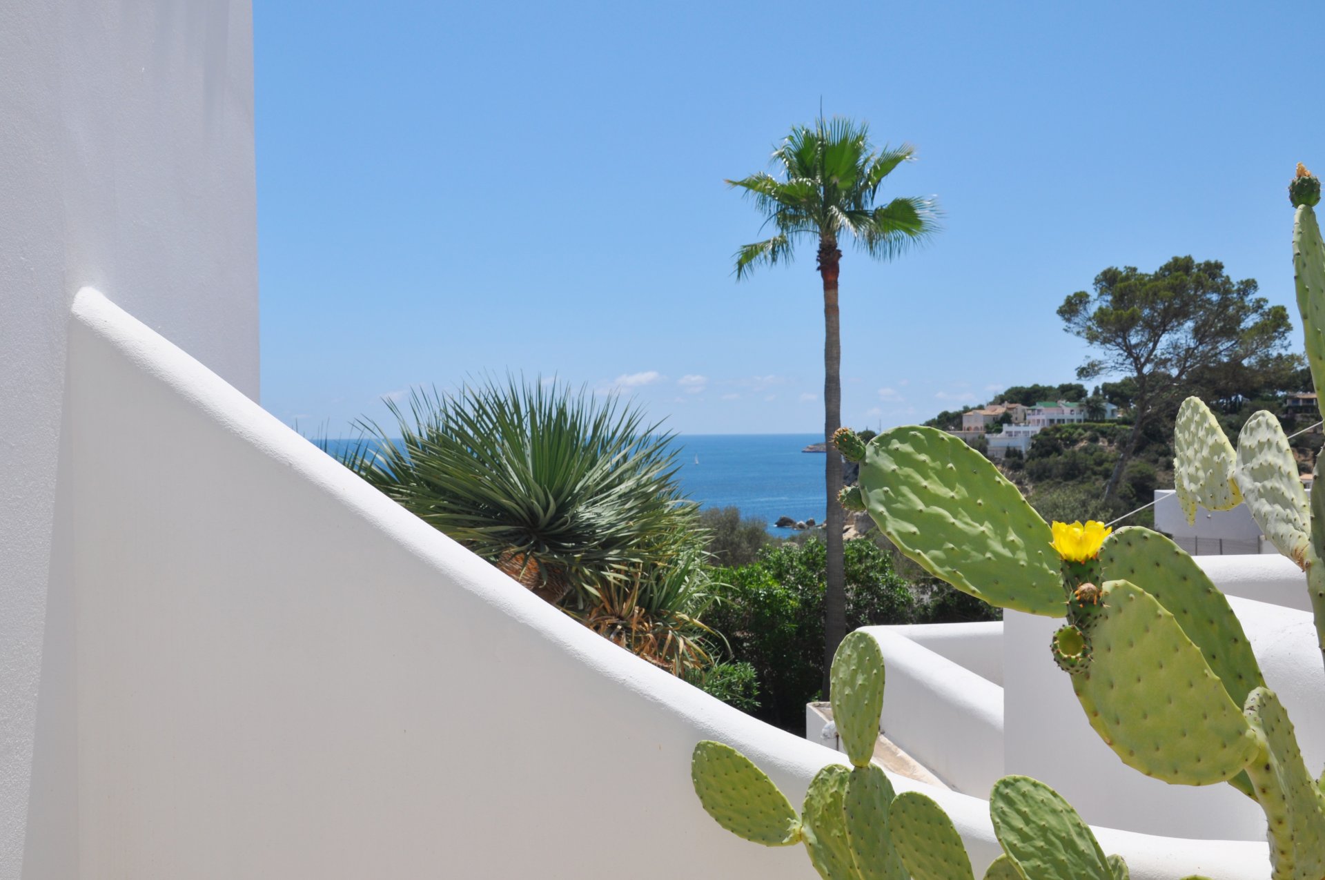 Villa en Sol De Mallorca, Mallorca, España 4 dormitorios, 330 m2 No. 167685