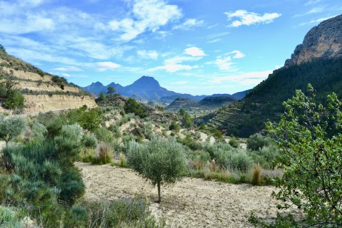 Zemes gabals Relleu, Alicante, Spānijā Nr. 192502