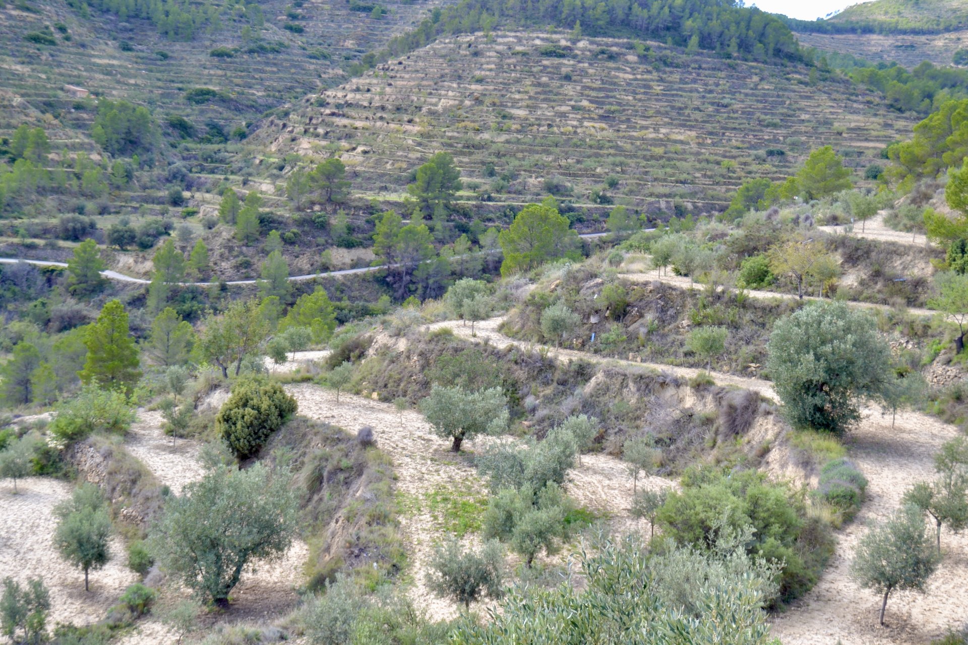 Terreno a Relleu, Alicante, Spagna N° 192502