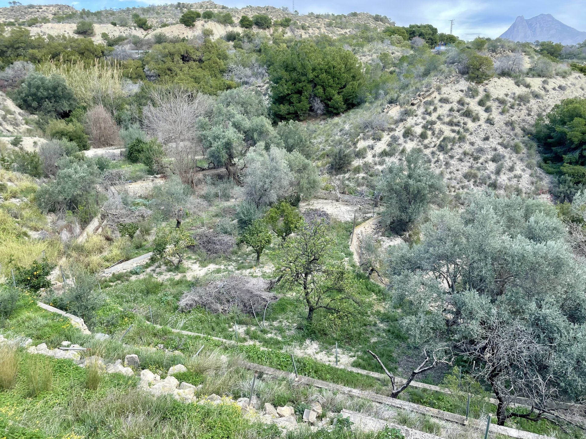 Finca a Villajoyosa, Alicante, Spagna 4 camere da letto, 80 mq. N° 192497