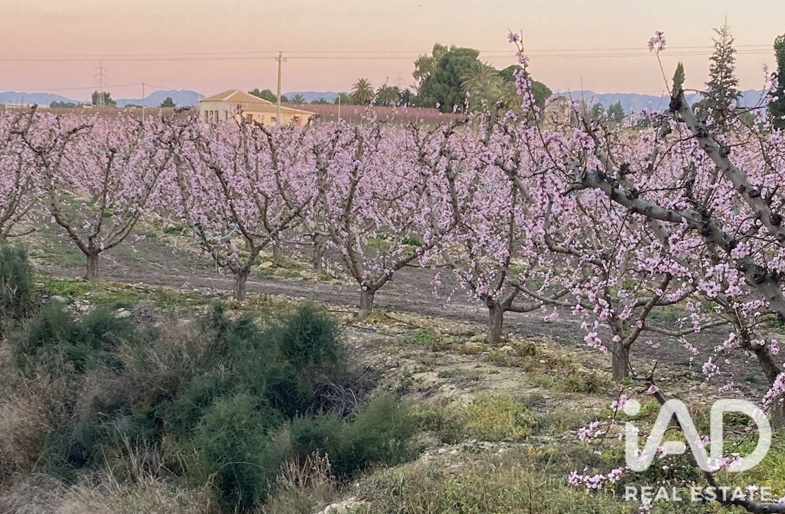 Commercial property in Cieza, Murcia, Spain No. 187773