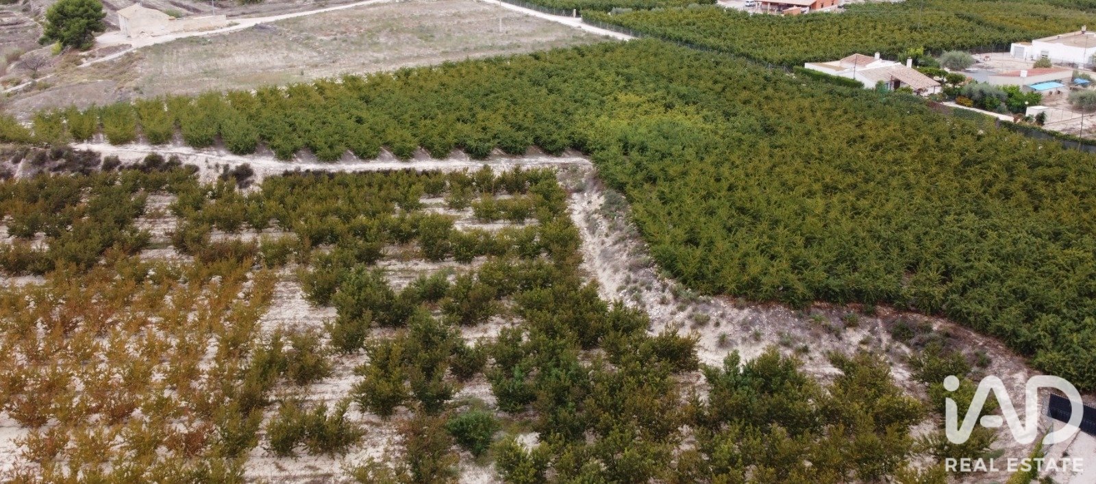 Commercial property in Cieza, Murcia, Spain No. 187773