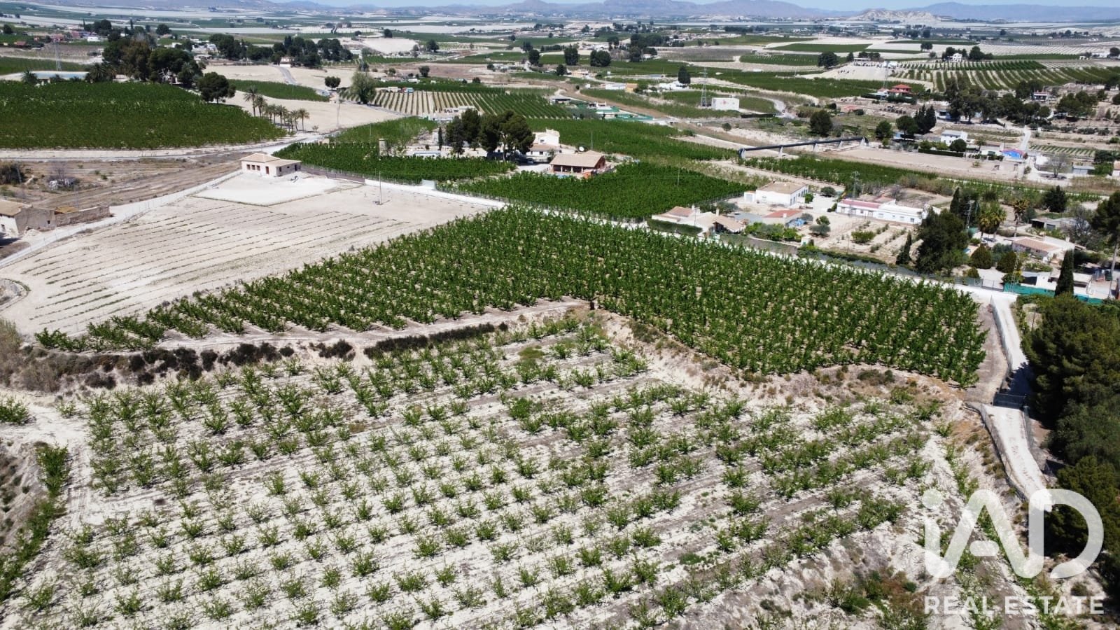 Commercial property in Cieza, Murcia, Spain No. 187773