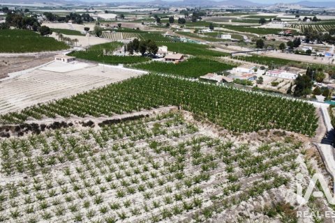 Commercial property in Cieza, Murcia, Spain No. 187773