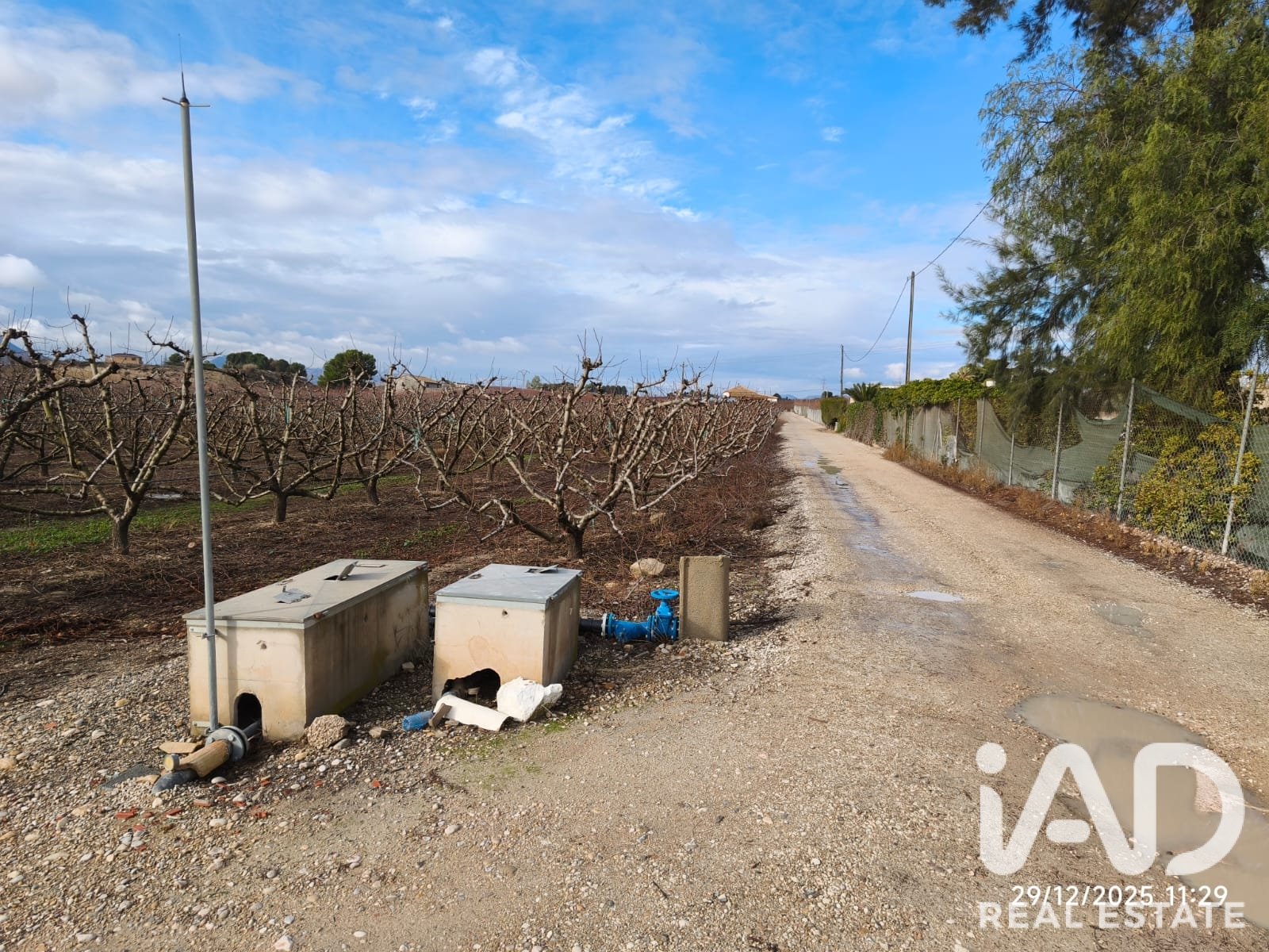 Commercial property in Cieza, Murcia, Spain No. 187773