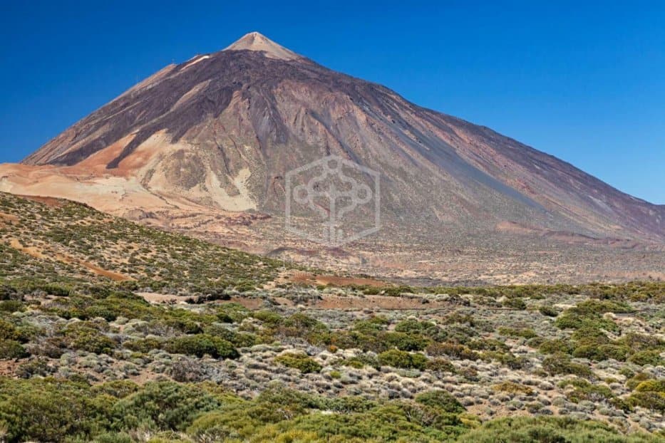 Commercial property à Adeje, Tenerife, Espagne 730 m2 No. 181289