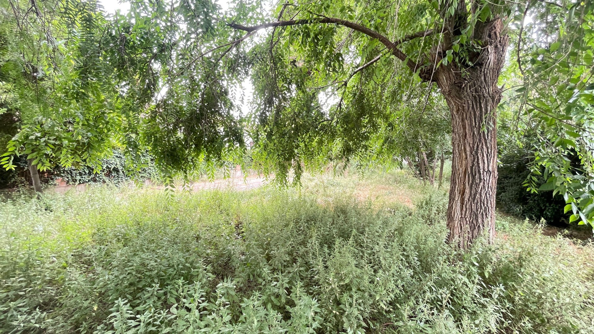 Land in Premia De Mar, Barcelona, Spanien Nr. 172015