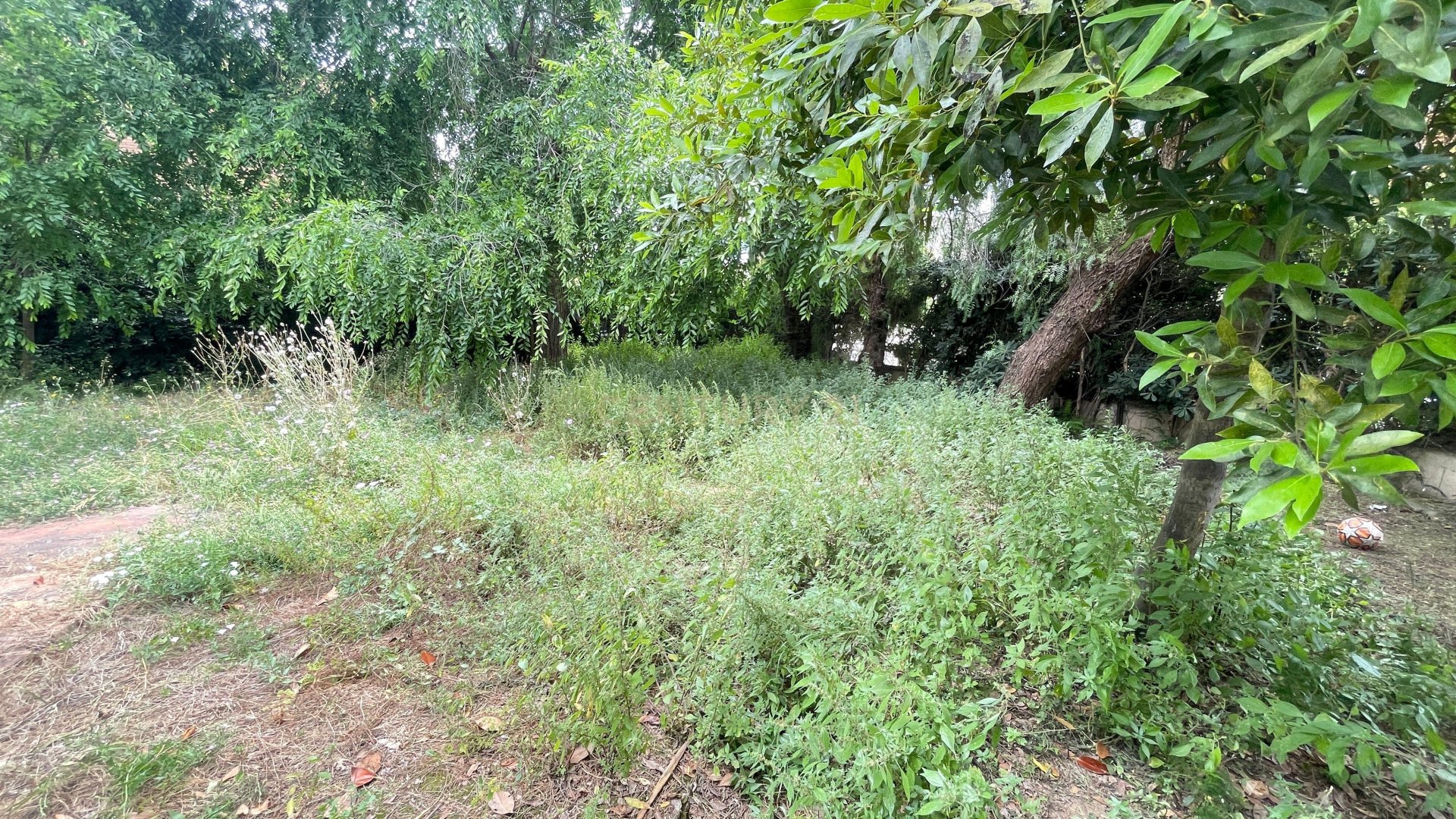 Land in Premia De Mar, Barcelona, Spanien Nr. 172015