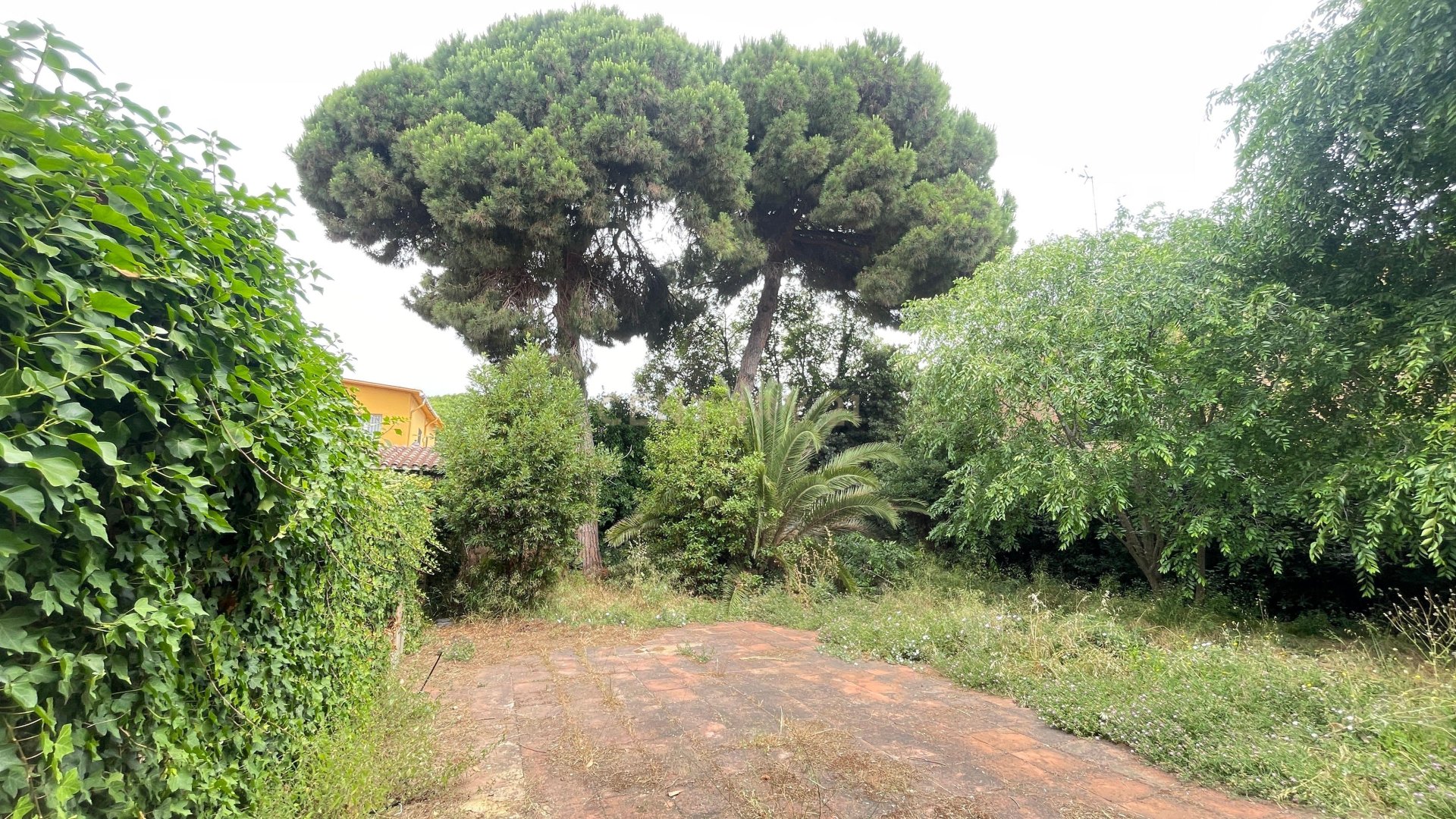 Land in Premia De Mar, Barcelona, Spanien Nr. 172015