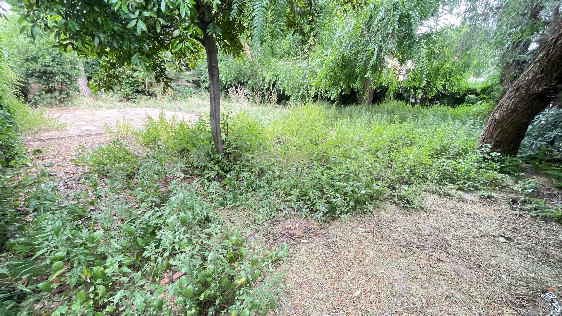 Land in Premia De Mar, Barcelona, Spanien Nr. 172015